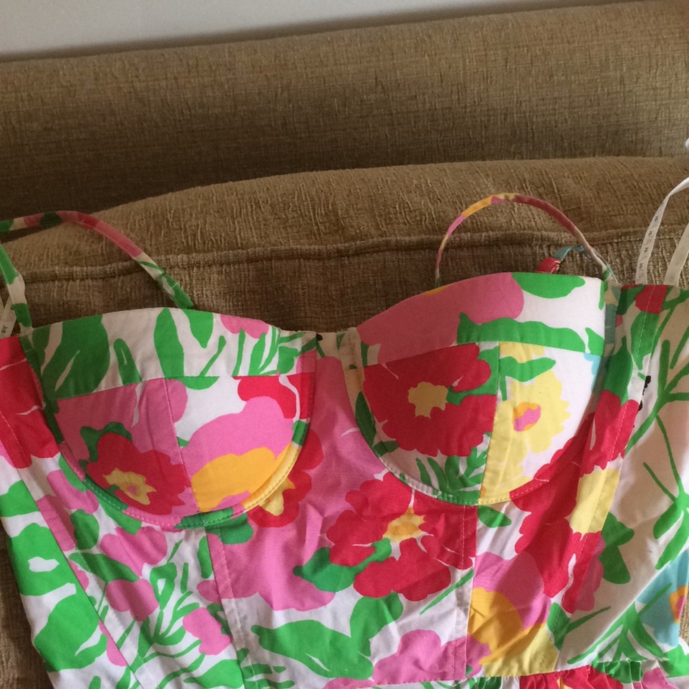 Lilly Pulitzer Ants on Parade Corset Dress - Picture 2 of 5